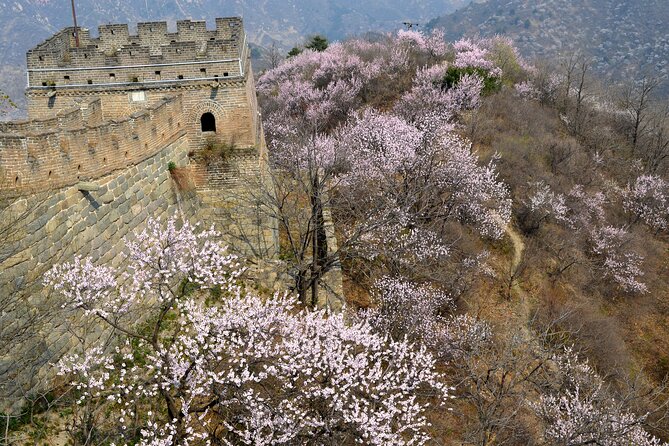 Daily Departure: Mutianyu Great Wall Bus Tour (Max. 8 Hours) - Who should book this Mutianyu day trip?