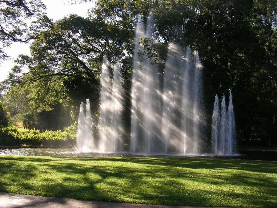 Darwin: City Explorer Bus Tour with Tour Tub - A useful five-hour introduction to Darwin