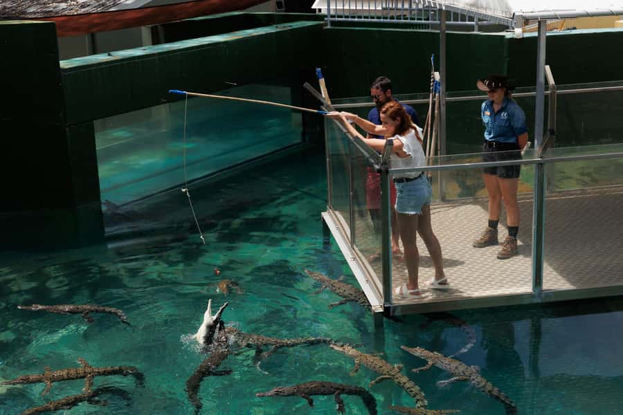 Darwin: Crocosaurus Cove Entry & Hop-on-Hop-Off Bus Tour - Three worthwhile hop-off choices