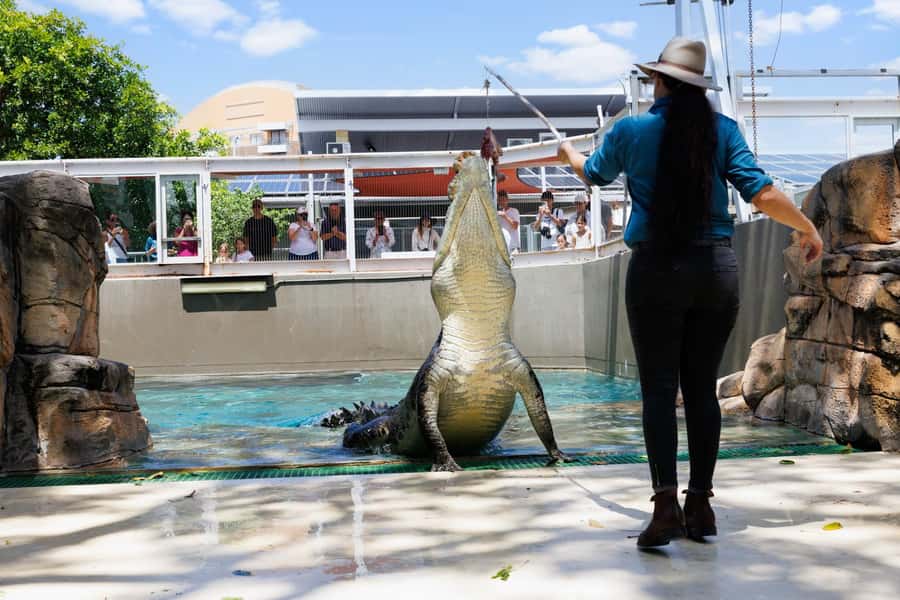 Darwin: Crocosaurus Cove Entry & Hop-on-Hop-Off Bus Tour - Who will get the most from this pass?