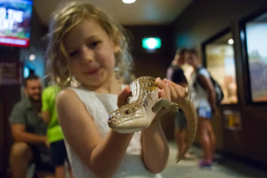 Darwin: Crocosaurus Cove Entry & Hop-on-Hop-Off Bus Tour - Cancellation and booking flexibility