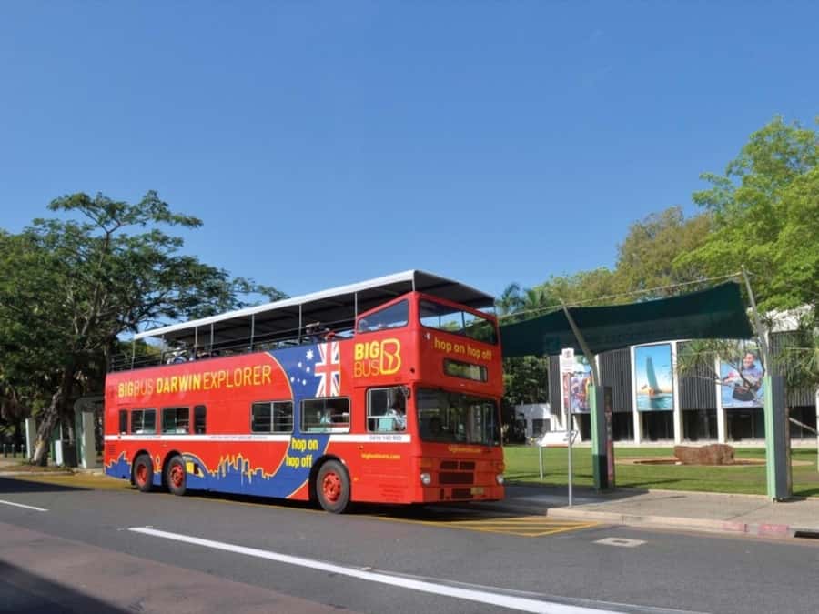 Darwin: Crocosaurus Cove Entry & Hop-on-Hop-Off Bus Tour - Planning around the 10 daily reptile shows