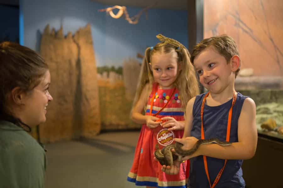 Darwin: Hop-On Hop-Off Bus, Crocosaurus Cove and RFDS Entry - Start with Darwin’s double-decker city loop