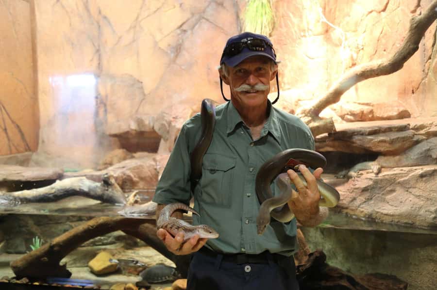 Darwin: Hop-On Hop-Off Bus, Crocosaurus Cove and RFDS Entry - The reptile shows add structure to your visit
