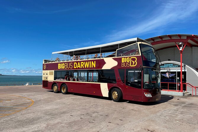 Darwin Hop-on Hop-off Bus Tour - Why this bus works well in Darwin