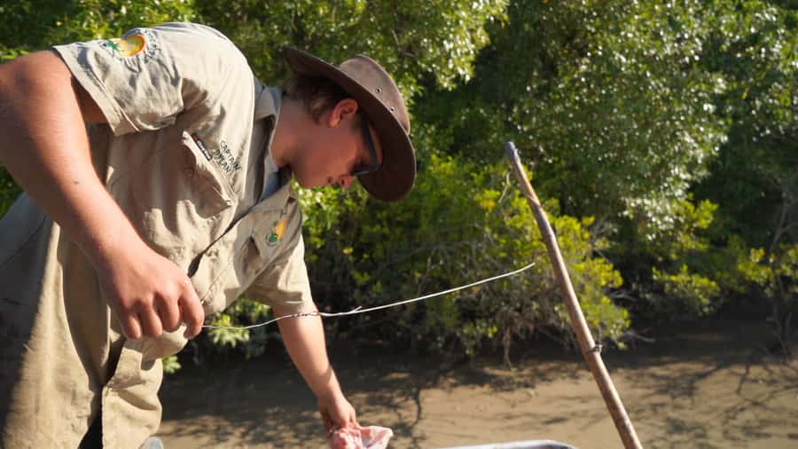 Darwin: The Croc Bus to the Famous Jumping Crocodile Cruise - Comfort, safety, and who should book