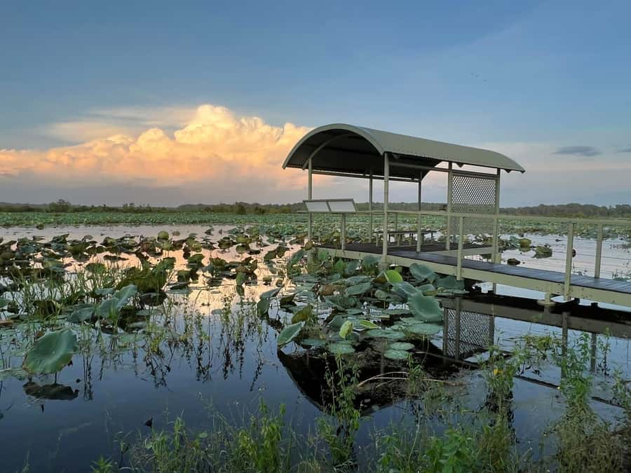 Darwin: The Croc Bus to the Famous Jumping Crocodile Cruise - What to bring and how to prepare
