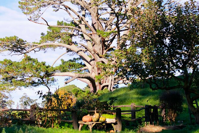 Day Tour Hobbiton + Rotorua from Auckland in Luxury Minibus - Lunch and Māori culture at Te Puia