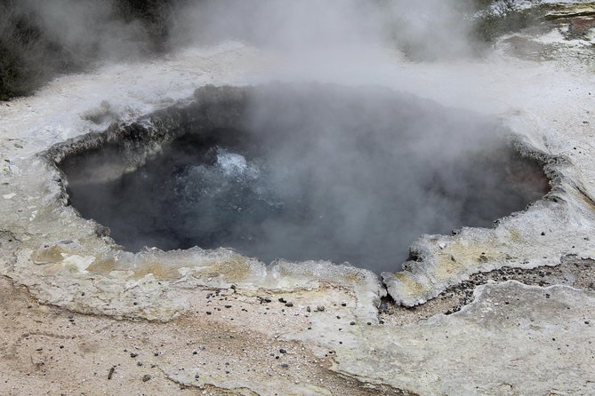 Day Tour Hobbiton + Rotorua from Auckland in Luxury Minibus - Rotorua geysers, kiwi birds, and a short city look