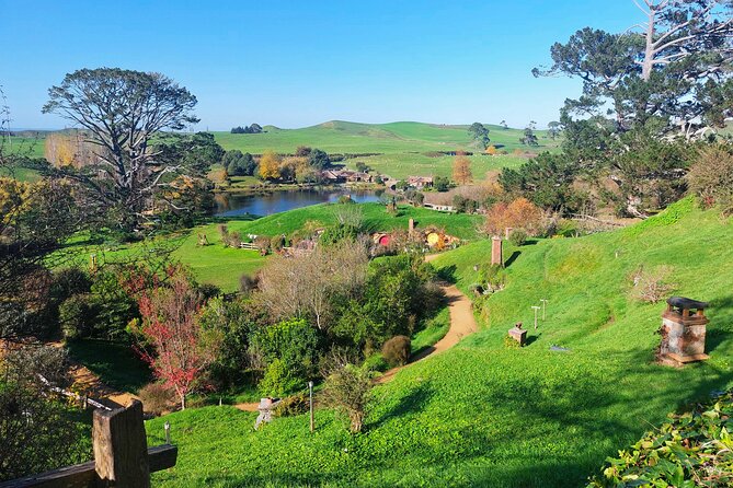 Day Tour Hobbiton + Rotorua from Auckland in Luxury Minibus - The guides make a real difference