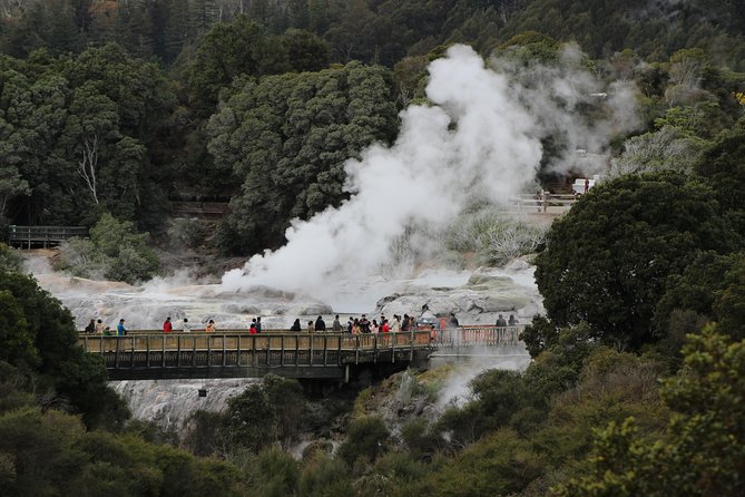 Day Tour Hobbiton + Rotorua from Auckland in Luxury Minibus - What the $312.77 price really buys