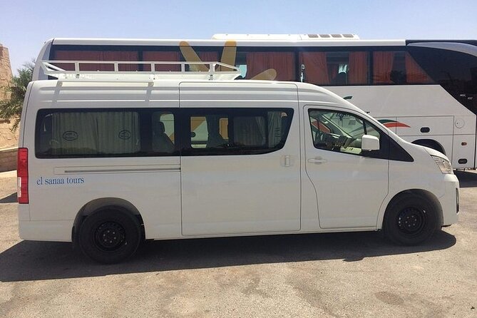 Day Tour to Abu Simbel from Aswan by Bus - The remarkable rescue behind the monuments