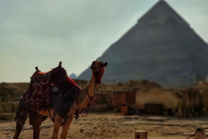 Day Trip to Cairo From Sharm El-Sheikh by Bus - Leaving Sharm el Sheikh at 1:00 am