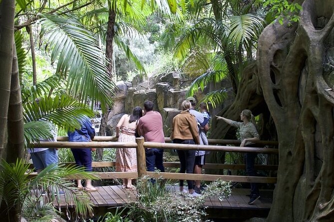 Daytime Scenic Rim Glow Worm Tour + Hop on Hop off Bus - From Brisbane to the Scenic Rim