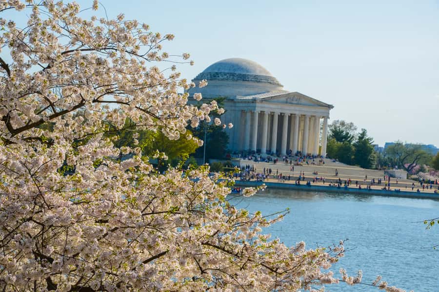 DC: Hop-on Hop-off, Arlington Walking Tour, and Night Tour - FAQ