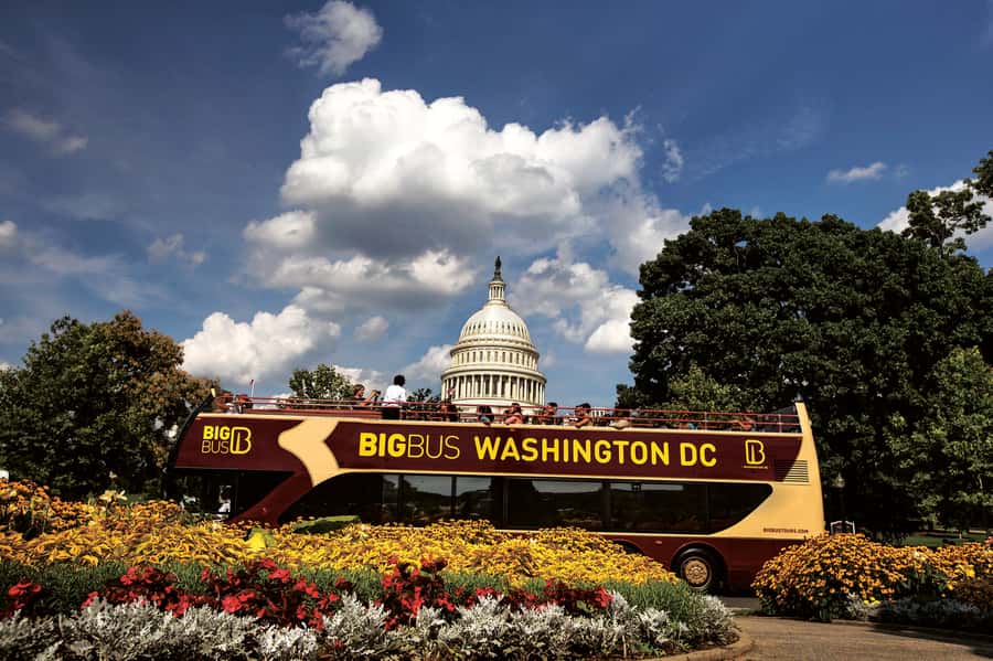 DC: Hop-on Hop-off, Arlington Walking Tour, and Night Tour - Arlington Cemetery at 1pm
