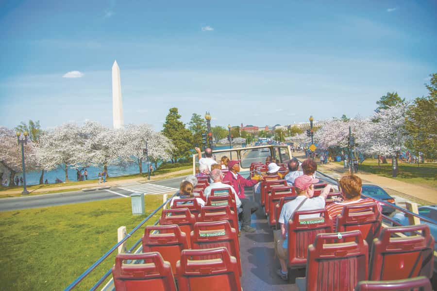 DC: Hop-on Hop-off, Arlington Walking Tour, and Night Tour - Who will get the most from this package?