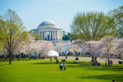 DC: Hop-On Hop-Off with 17 Stops plus Arlington Walking Tour