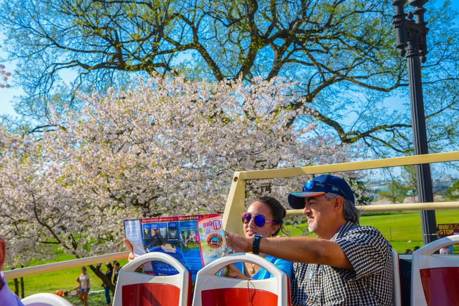 DC: Hop-On Hop-Off with 17 Stops plus Arlington Walking Tour - Arlington National Cemetery on foot