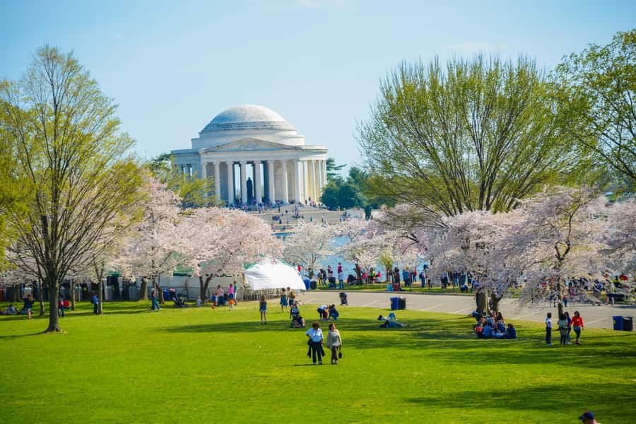 DC: Hop-On Hop-Off with 17 Stops plus Arlington Walking Tour - The National Mall, from the Lincoln Memorial to the Capitol