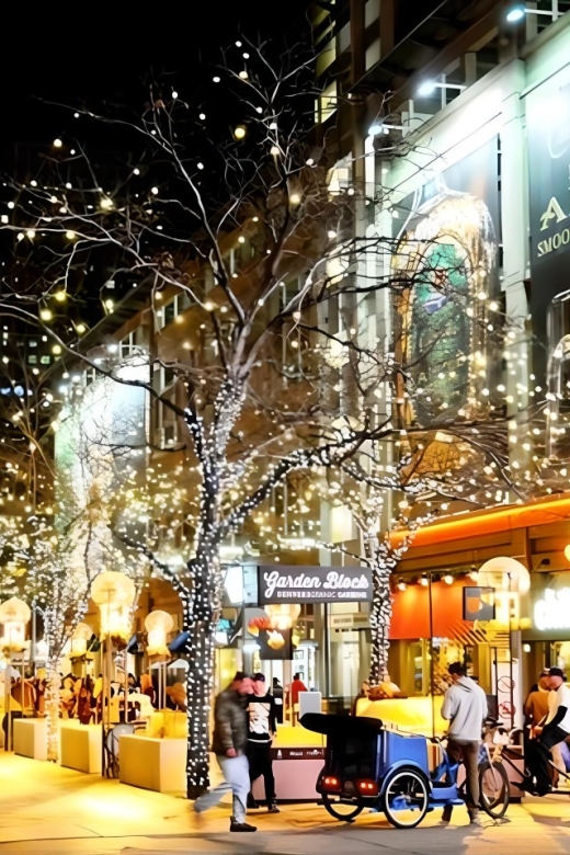 Denver: Holiday Lights & Sights Bus Tour - Key points to know before booking