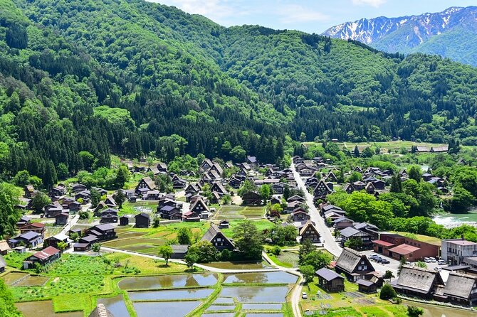 Departing from Takayama [Regular sightseeing bus] World Heritage Sites Shirakawago and Gokayama Ainokura - Key points at a glance
