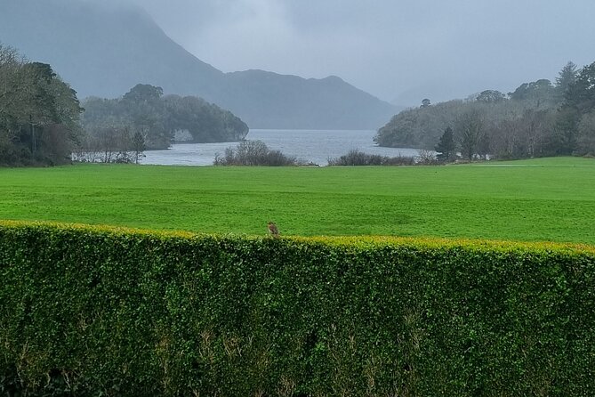 Dingle Peninsula Private Minibus Day Tour of the Fields of Gold - One hour in Dingle for lunch
