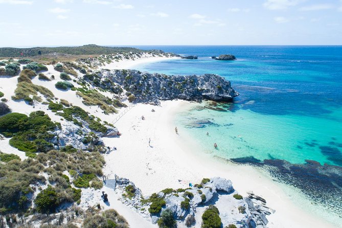 Discover Rottnest with Ferry & Bus Tour - Key points to know