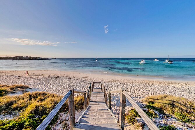 Discover Rottnest with Ferry & Bus Tour - The 90-minute coach circuit