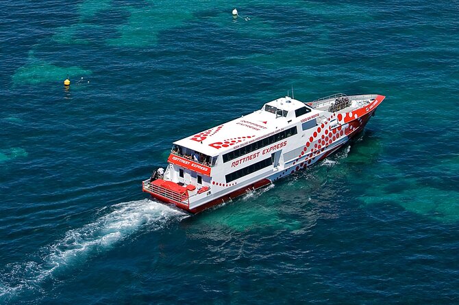 Discover Rottnest with Ferry & Bus Tour - Wadjemup Lighthouse in five minutes