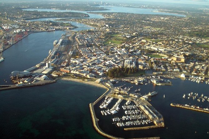Discover Rottnest with Ferry & Bus Tour - Quokkas around Thompson Bay