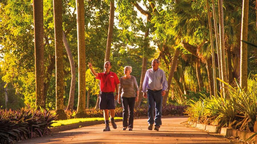 Discover the City of Darwin: Half-Day City Coach Tour - Darwin Botanic Gardens and the Chinese Temple