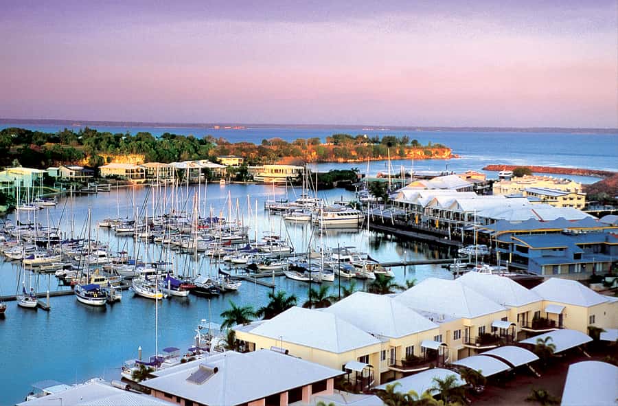 Discover the City of Darwin: Half-Day City Coach Tour - The Aviation Museum and Darwin’s wartime story
