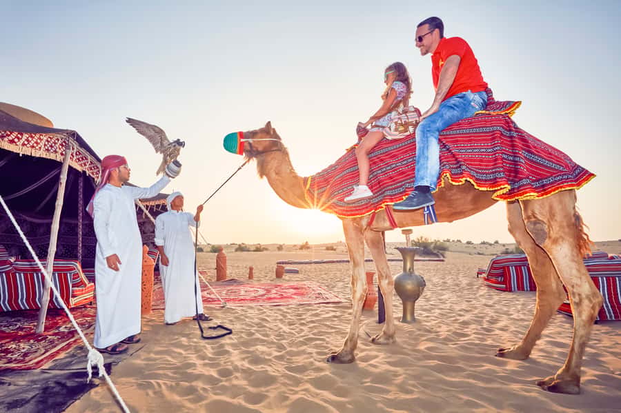 Dubai: Big Bus Hop-On Hop-Off Tour & Optional Dhow Cruise - What the five-day pass really adds
