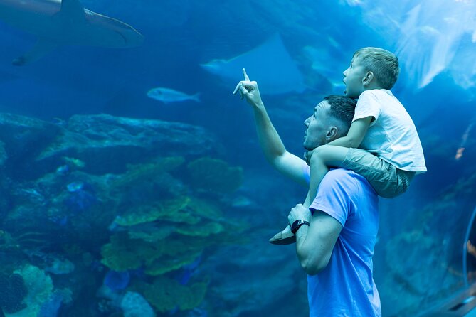 Dubai City Pass: all inclusive Pass with Hop On Hop Off & tours - Take in the city from above