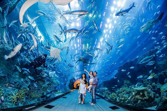 Dubai City Pass: all inclusive Pass with Hop On Hop Off & tours - Use indoor attractions for variety
