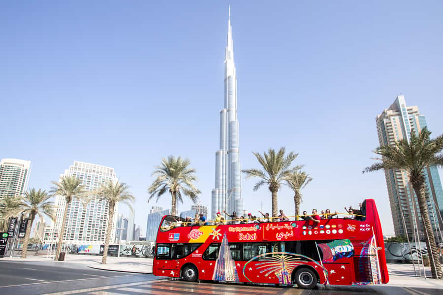 Dubai: City Sightseeing HOHO Bus Tour + Sunset & Night Tour - The blue route: Palm Jumeirah, Marina, and the coast