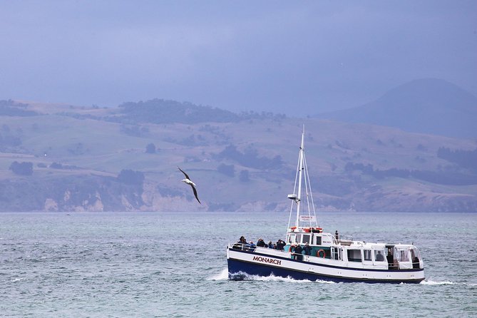 Dunedin City to Sea Wildlife Cruise + Peninsula Bus Tour - Why this Dunedin outing works so well
