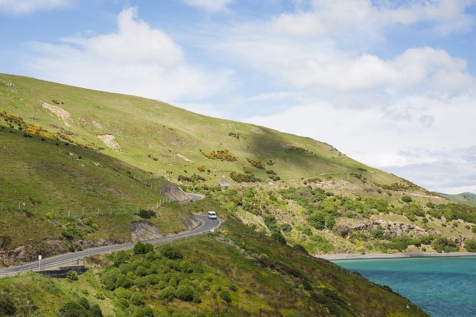 Dunedin City to Sea Wildlife Cruise + Peninsula Bus Tour - The return to Dunedin: peaceful or too quiet?