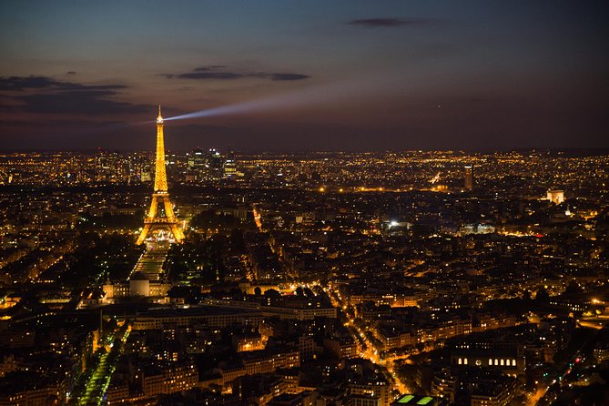 Eiffel Tower and City Tour by Bus with Seine River Cruise Option - Getting to the Eiffel Tower at Place de Sydney
