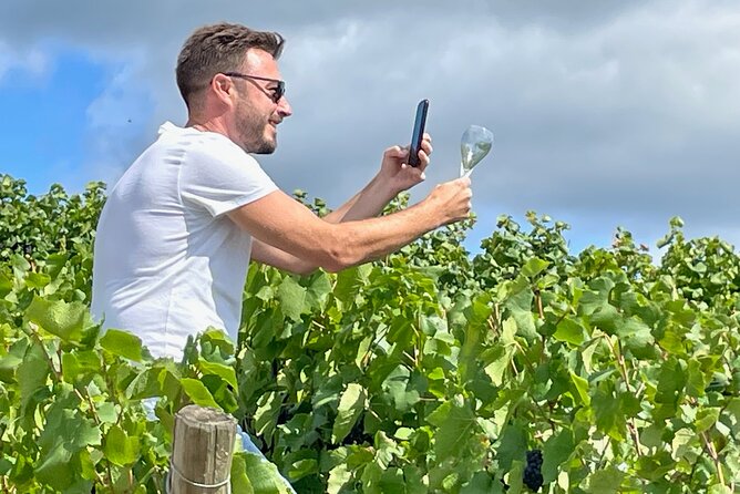 Épernay and Champagne Open-Top Bus Tour with 3 Tastings - Why the open-top format works here