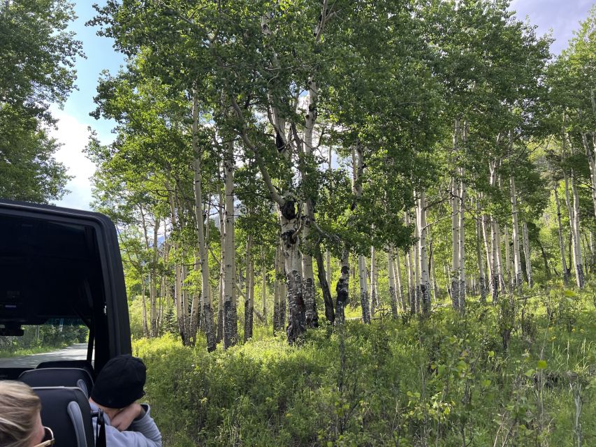 Estes Park: Rocky Mountain National Park Glass-Top Bus Tour - What the $156 price includes