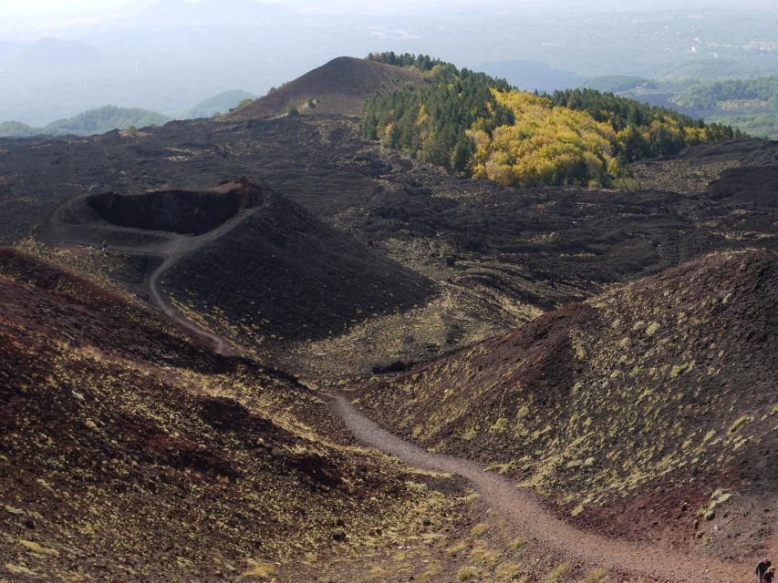 Etna by Panoramic Bus, Audioguide 9 languages, from Catania - Value at $53 per person