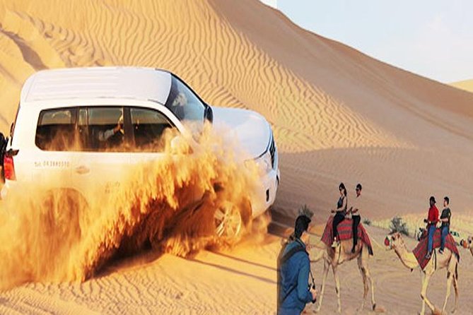 Evening Desert Safari Dubai with BBQ Dinner (Pick Up By Bus) - Sandboarding and the Short Camel Ride
