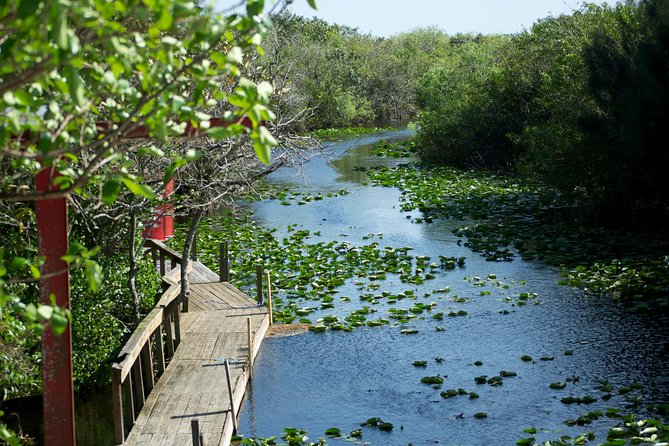 Everglades Airboat, Wildlife Show, and Roundtrip Bus From Miami - The airboat ride is the main event