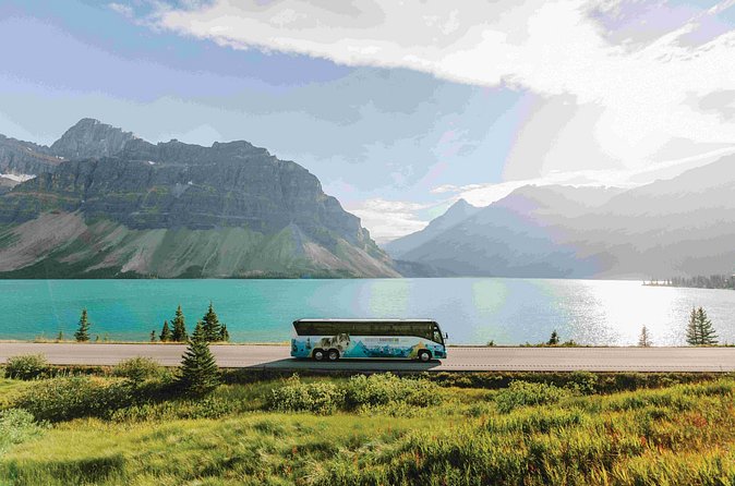 Explore Moraine and Louise Roundtrip from Banff Shared Bus Tour - What the host adds between the lakes