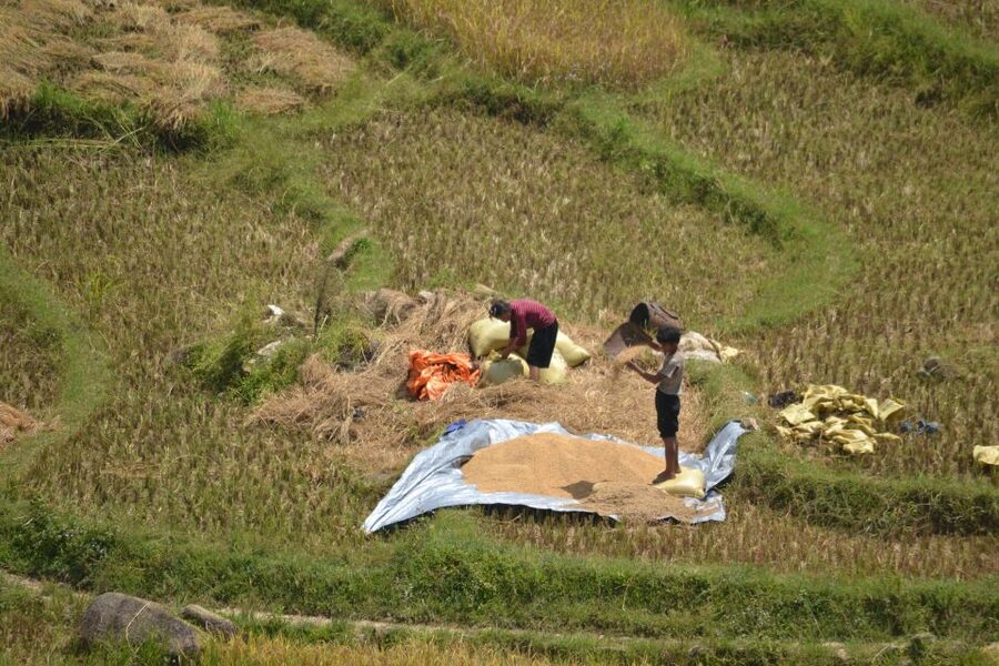 Explore Sa Pa with Overnight Train & Sleeper Bus & Trekking - What the $145 Sa Pa trip really gives you