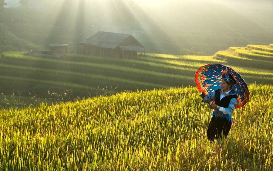 Explore Sa Pa with Overnight Train & Sleeper Bus & Trekking - Ma Tra and Ta Phin: two villages before lunch