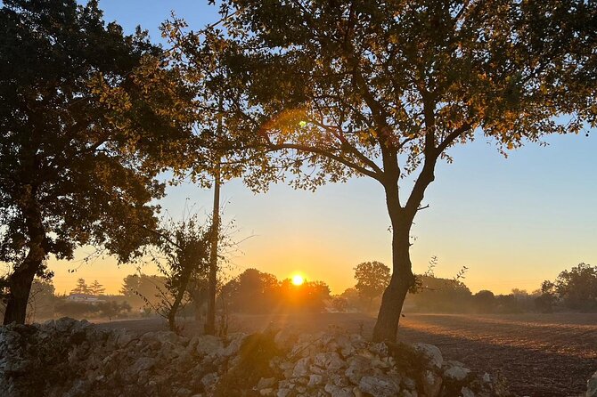 Explore trulli and nature with your personal fitness coach - Coaching that adapts to your pace