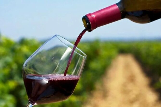 Franschhoek Wine Tram Hop On Hop Off Tour - Making the Most of Each Wine Estate Stop